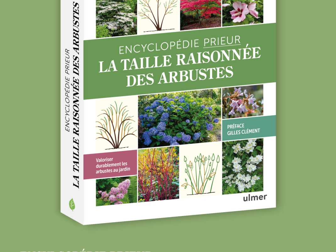 Agrandir l'image - fenêtre modale