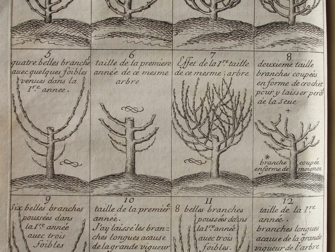 Agrandir l'image - fenêtre modale - 1690. Gravures extraites de l'ouvrage de Jean-Baptiste de La Quintinie, Instruction pour les jardins fruitiers et potagers.
