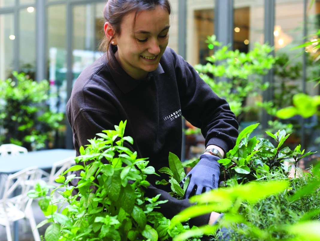 Agrandir l'image - fenêtre modale