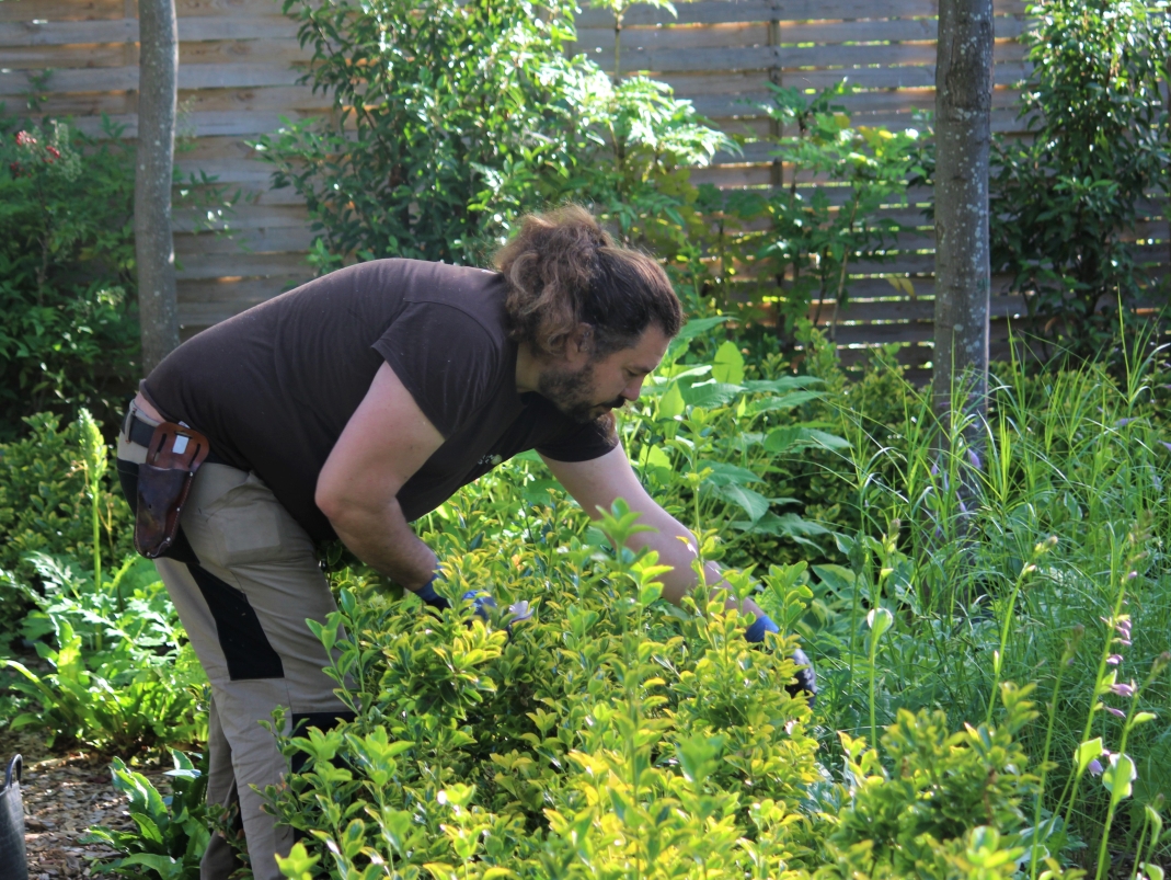 Agrandir l'image - fenêtre modale