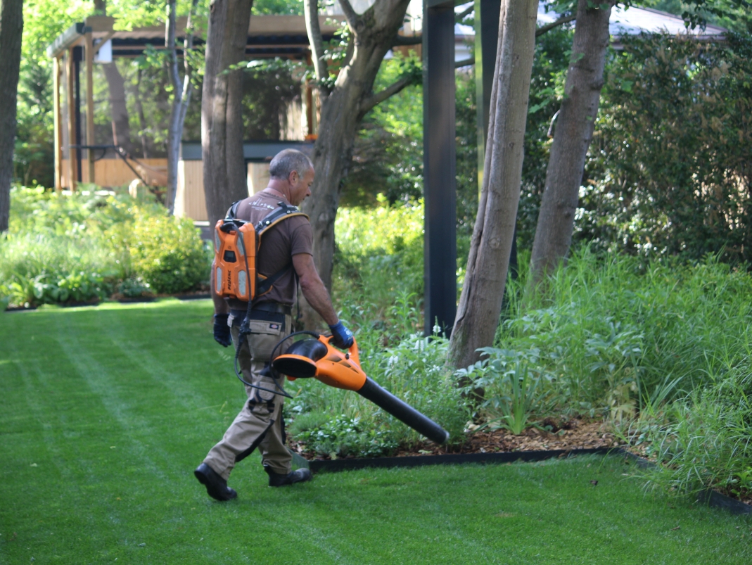 Agrandir l'image - fenêtre modale