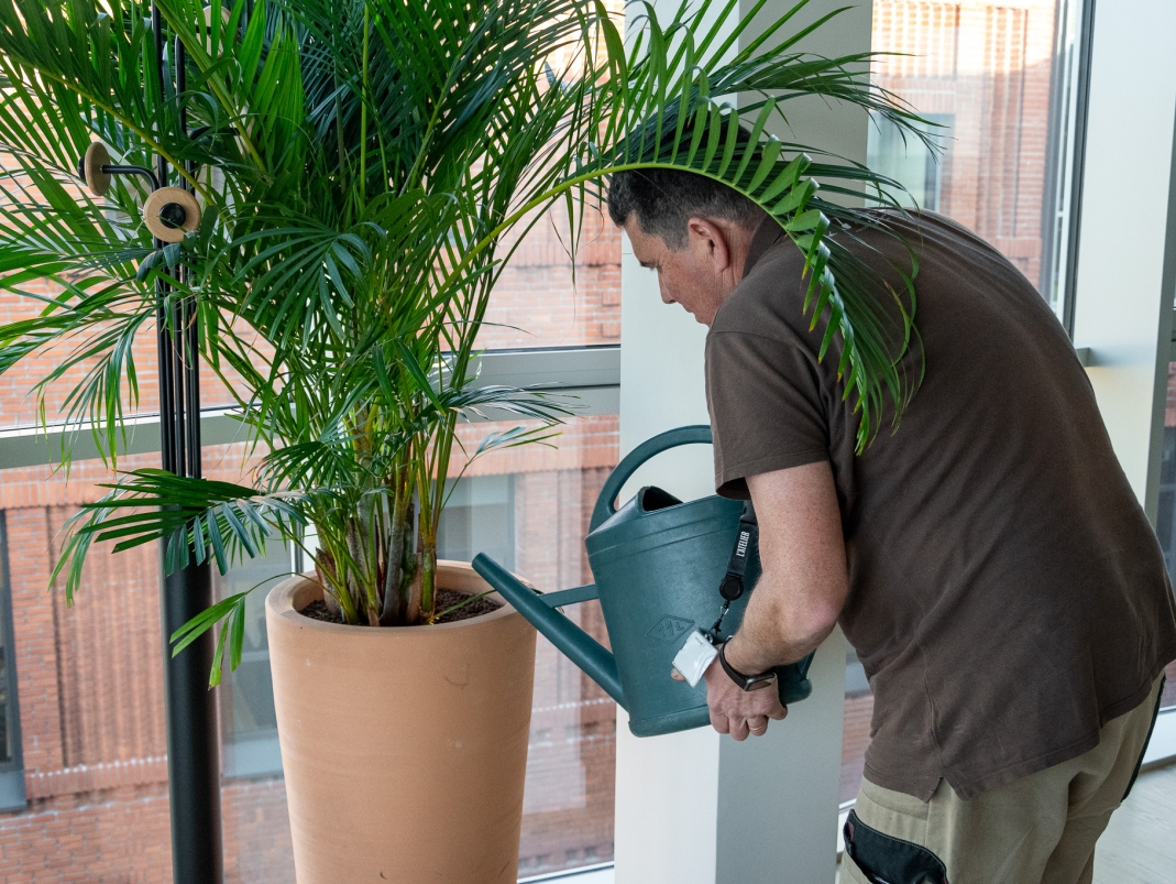 Agrandir l'image - fenêtre modale