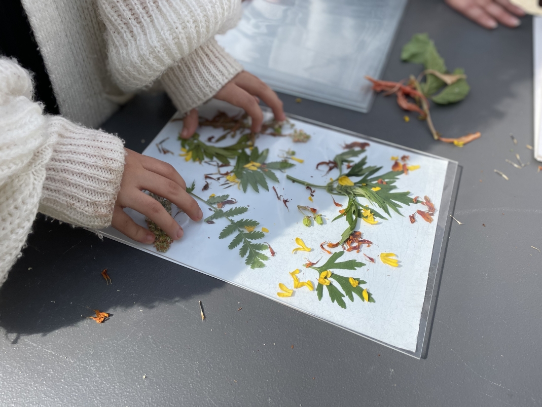 Agrandir l'image - fenêtre modale