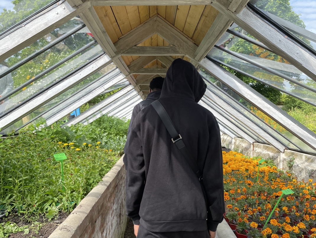 Agrandir l'image - fenêtre modale