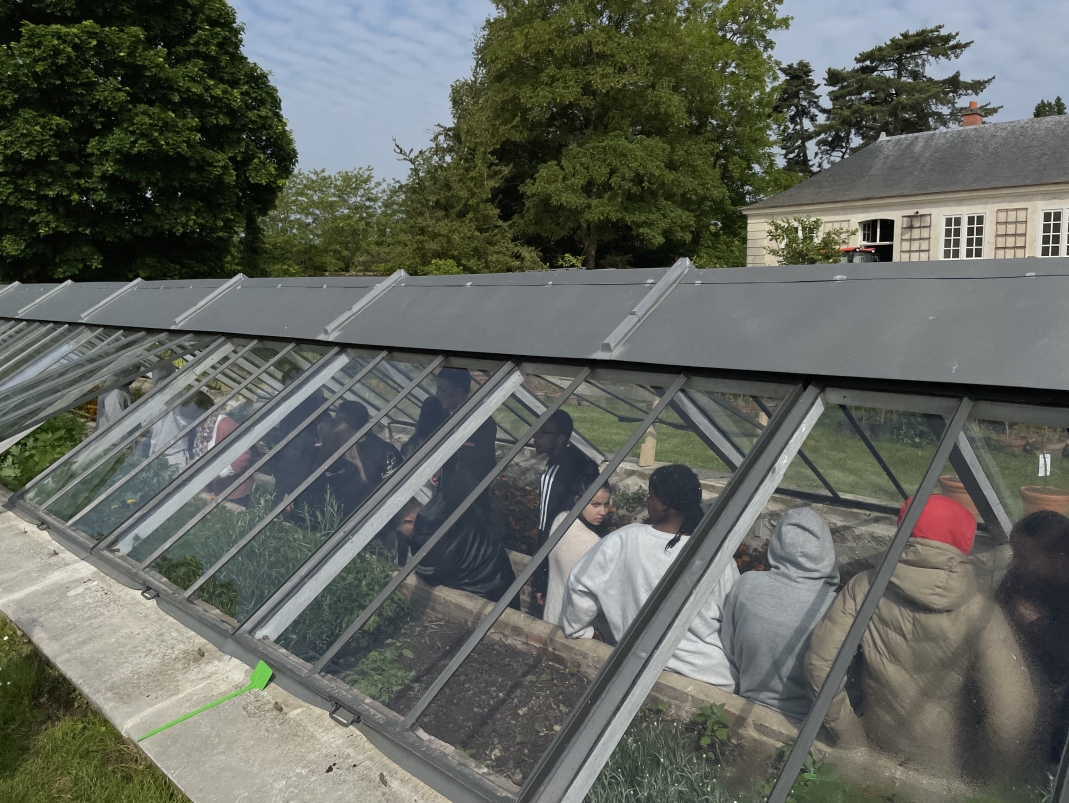 Agrandir l'image - fenêtre modale