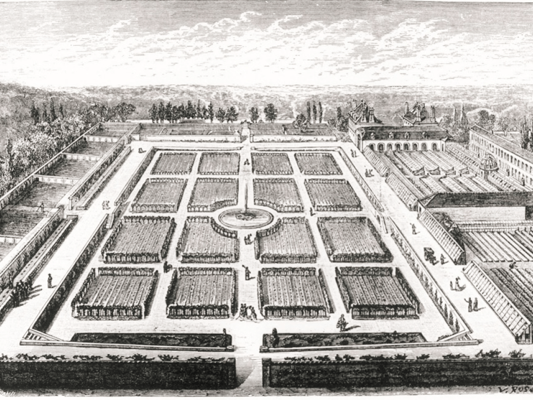 Agrandir l'image - fenêtre modale - Circa 1877. Vue du Potager.