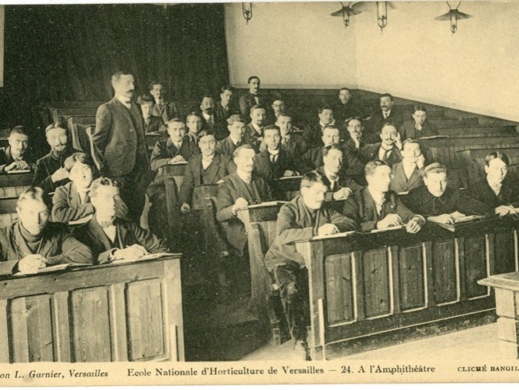 Agrandir l'image - fenêtre modale - Amphithéâtre de l'École nationale d’horticulture de Versailles, carte postale, circa 1900. 