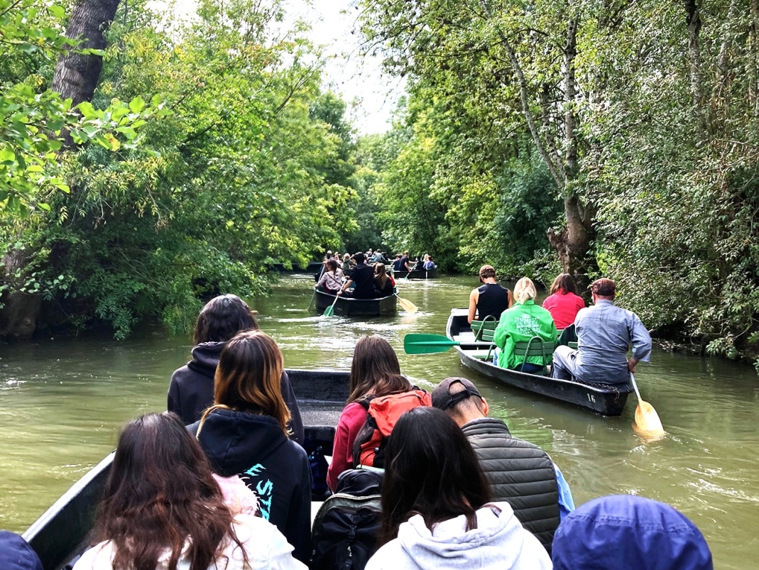 Agrandir l'image - fenêtre modale