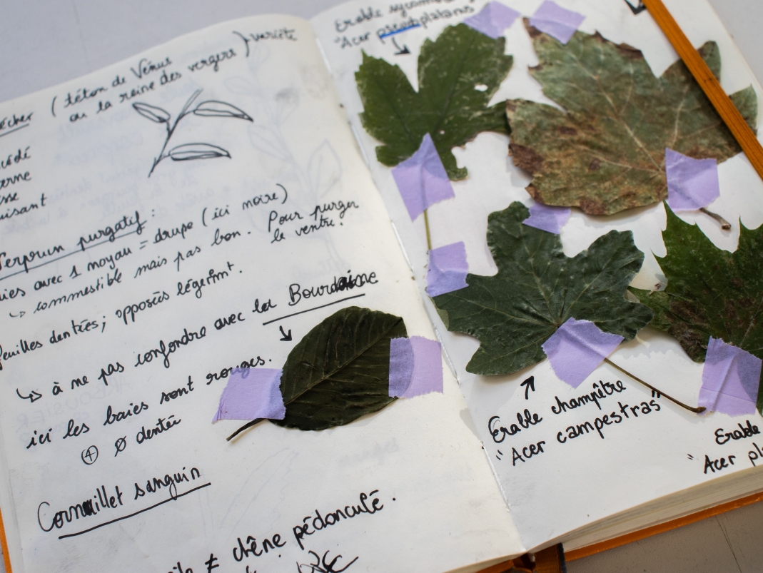 Agrandir l'image - fenêtre modale