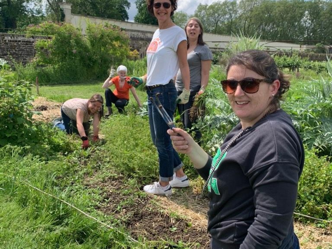 Agrandir l'image - fenêtre modale