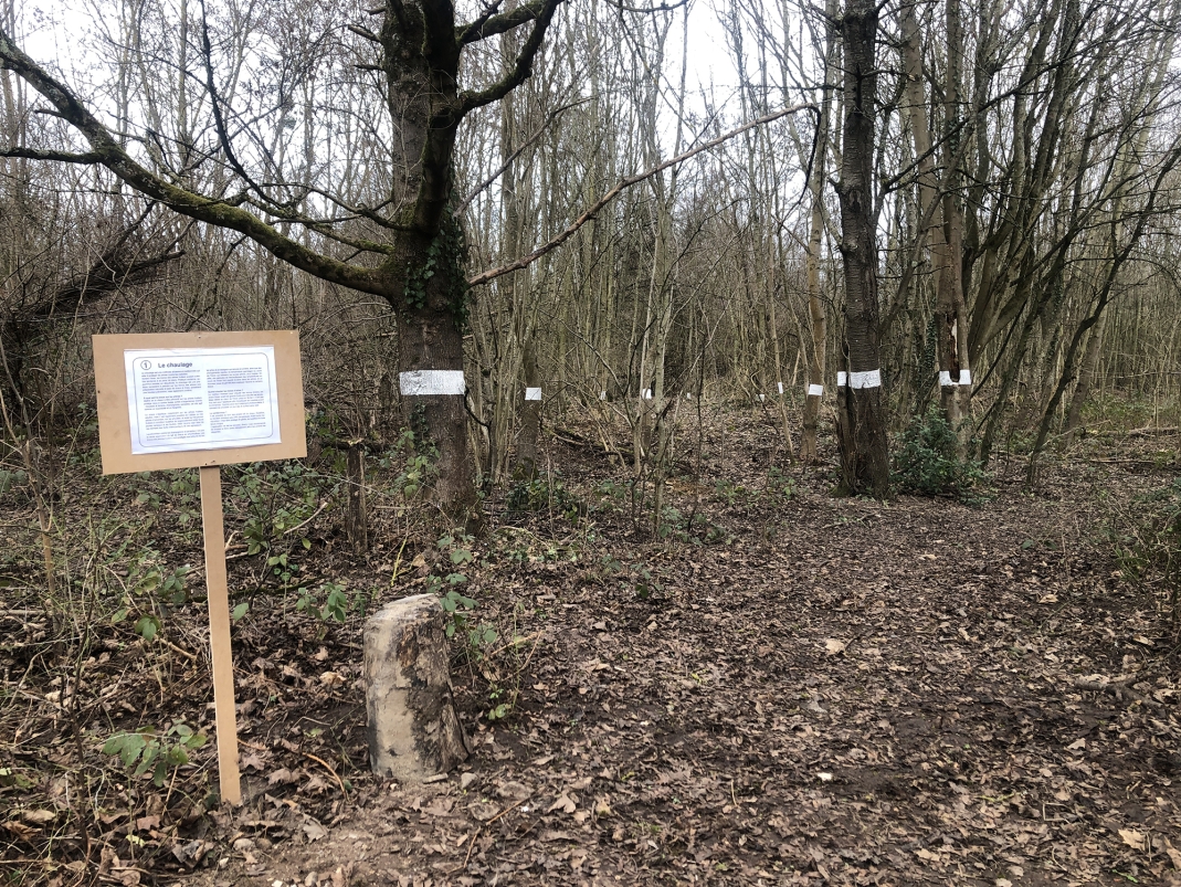 Agrandir l'image - fenêtre modale