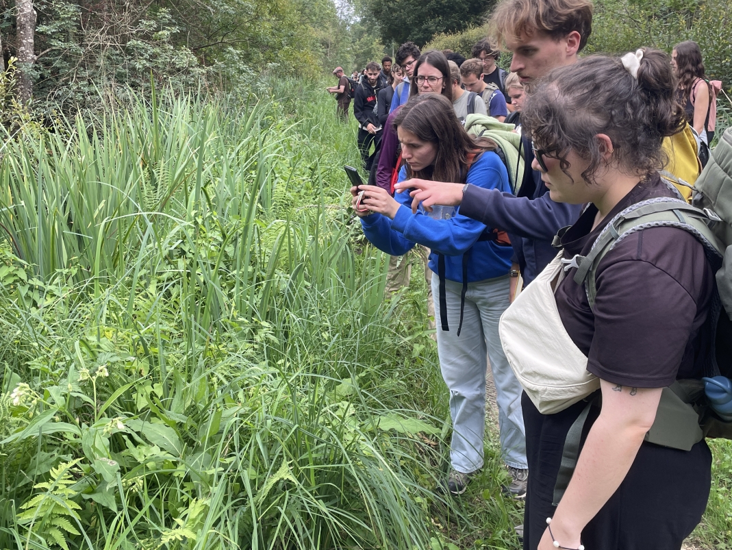 Agrandir l'image - fenêtre modale