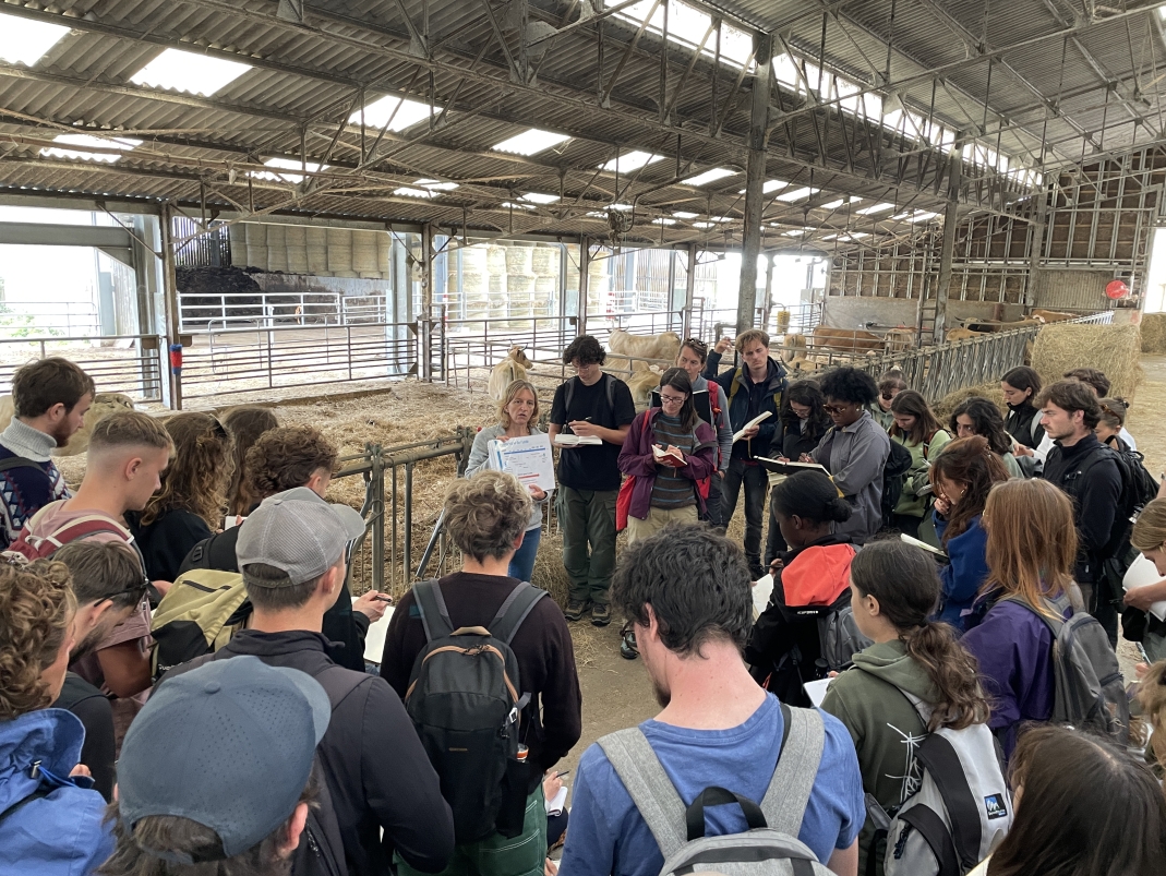 Agrandir l'image - fenêtre modale