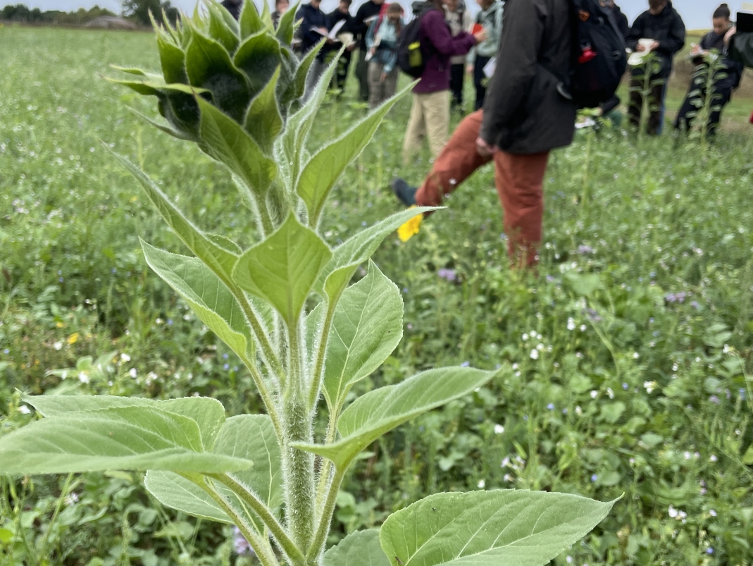 Agrandir l'image - fenêtre modale