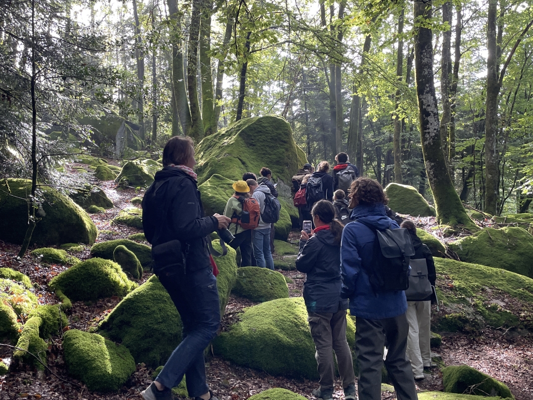 Agrandir l'image - fenêtre modale