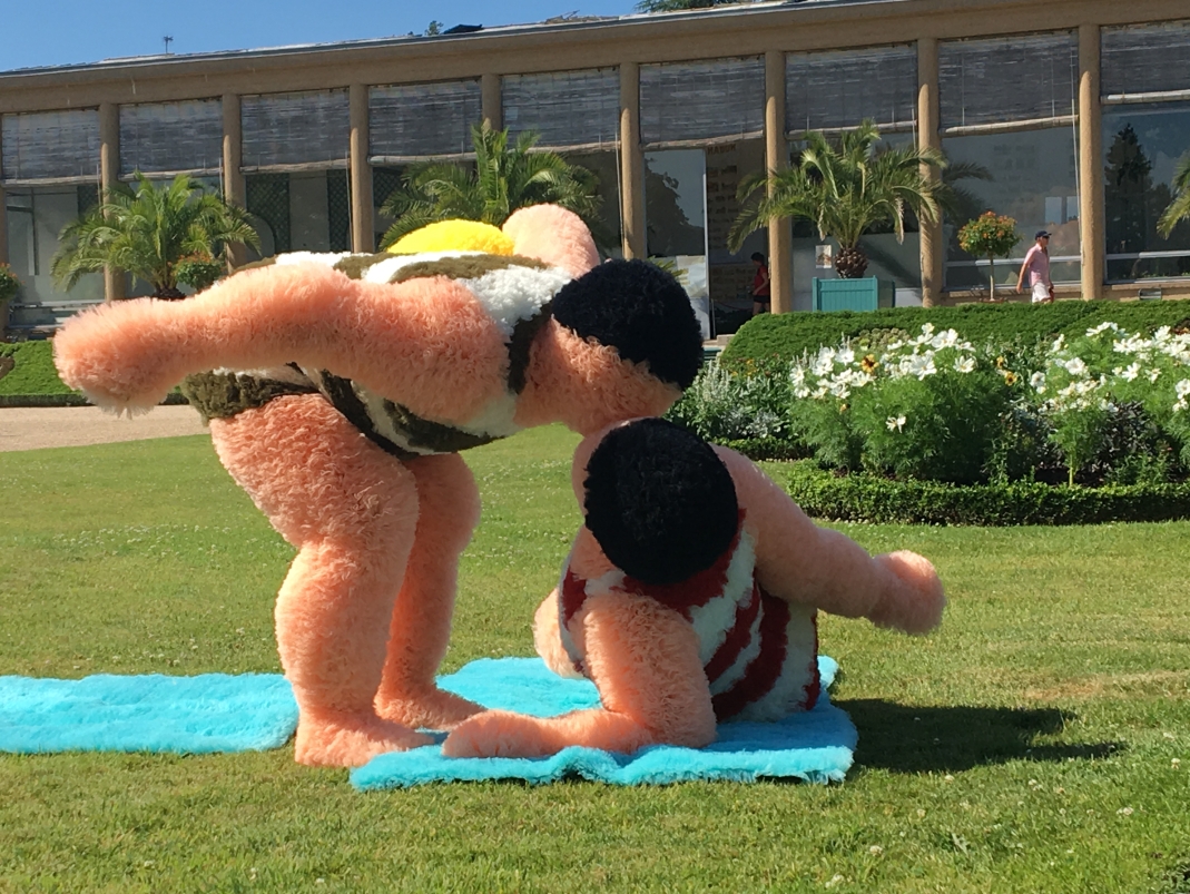 Agrandir l'image - fenêtre modale