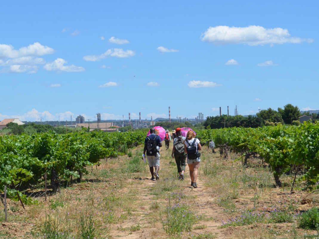 Agrandir l'image - fenêtre modale - Marche entre vigne et pétrochimie, Berre l’Étang, 29 juillet 2021.