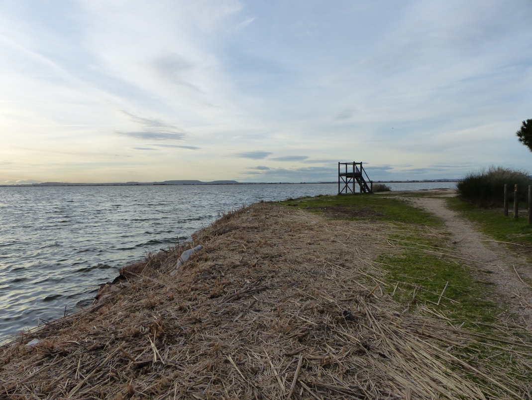 Agrandir l'image - fenêtre modale -  Paysage menacé d’effacement (étang de Vaine).
