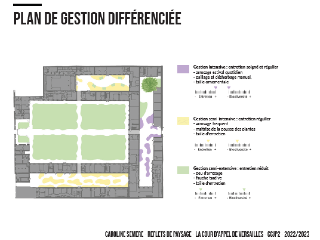 Agrandir l'image - fenêtre modale