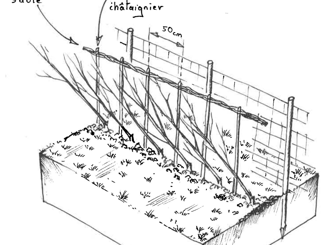 Agrandir l'image - fenêtre modale - Le plessage.