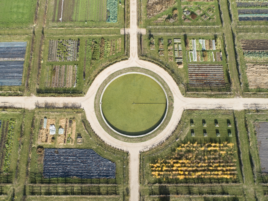 Agrandir l'image - fenêtre modale - Les parcelles maraîchères du Grand Carré.