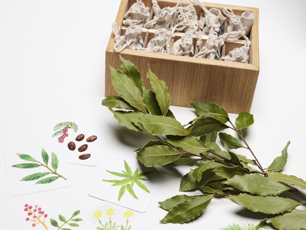 Agrandir l'image - fenêtre modale - Laurier du Potager du Roi.