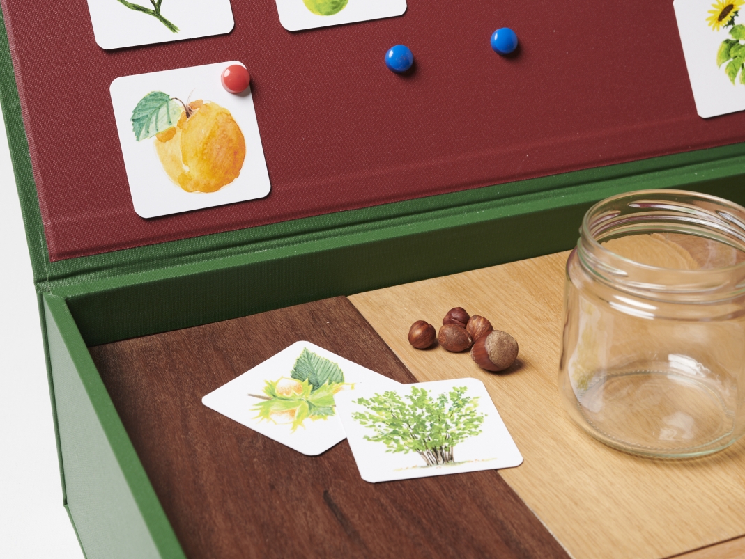 Agrandir l'image - fenêtre modale - Fruits en images et vrais fruits.