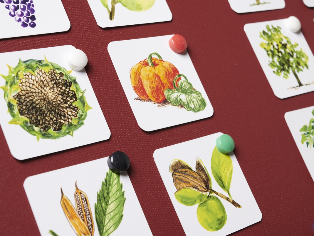 Agrandir l'image - fenêtre modale - Les aimants de la mallette.