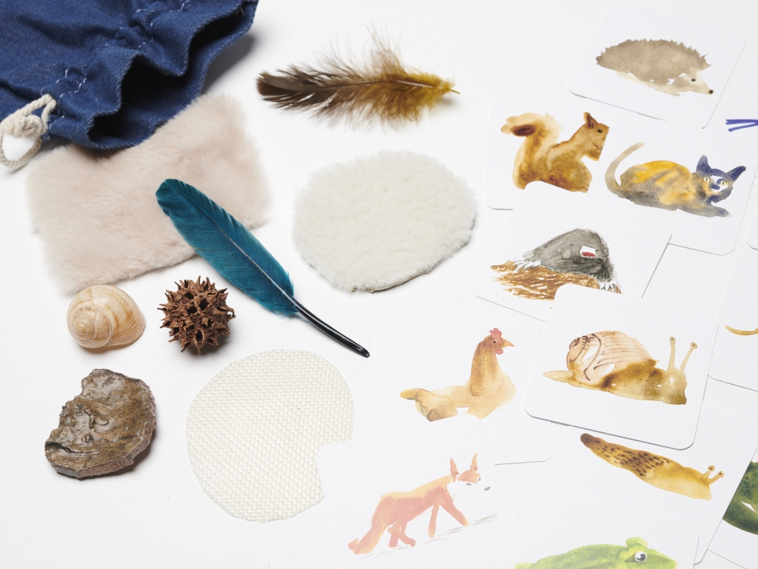 Agrandir l'image - fenêtre modale - Les éléments relatifs aux activités du toucher.