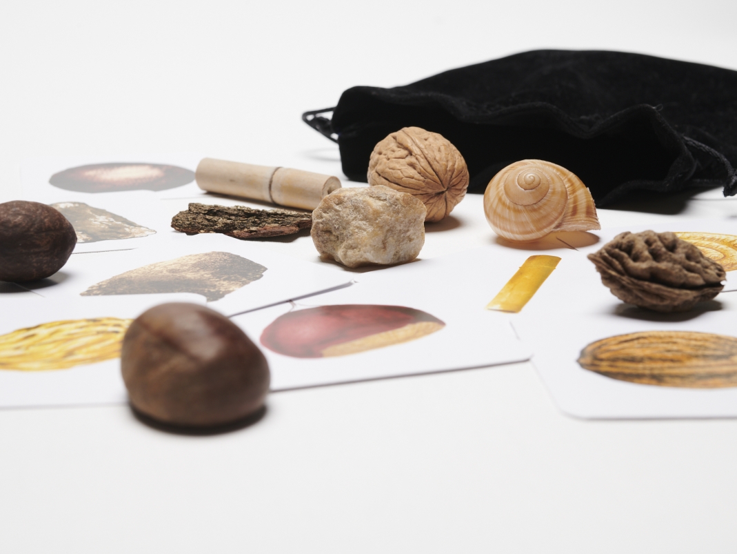 Agrandir l'image - fenêtre modale - Des noix et autres éléments à toucher de la mallette.