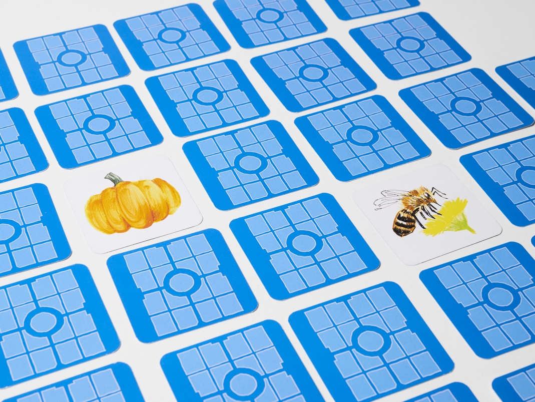 Agrandir l'image - fenêtre modale - Jeu de paires proposé dans la mallette.