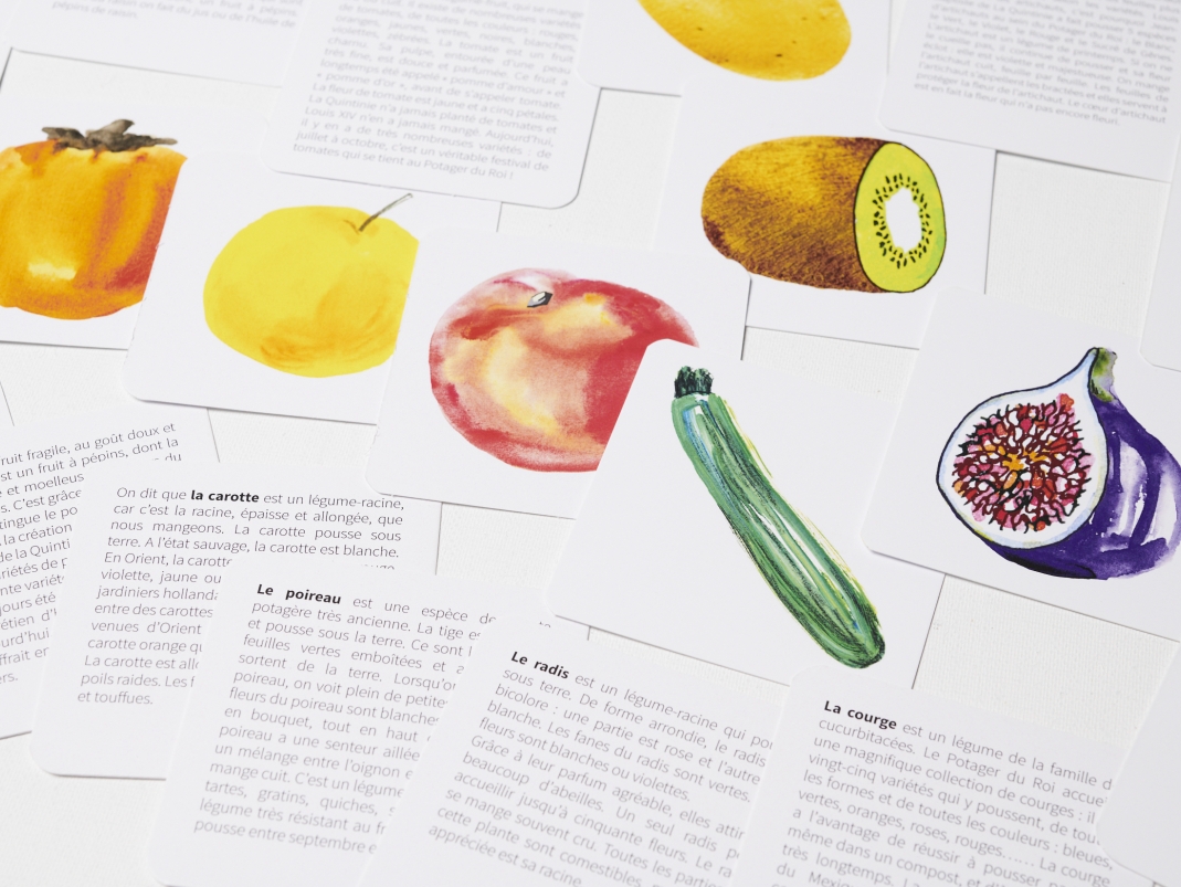 Agrandir l'image - fenêtre modale - Les cartes fruits et légumes avec leurs explications au verso.