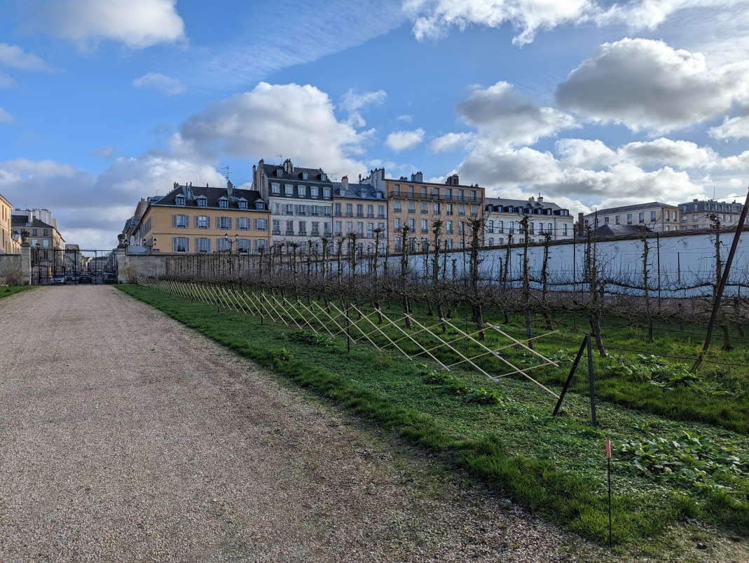 Agrandir l'image - fenêtre modale - Installation des tuteurs en bois avant la plantation des poiriers.