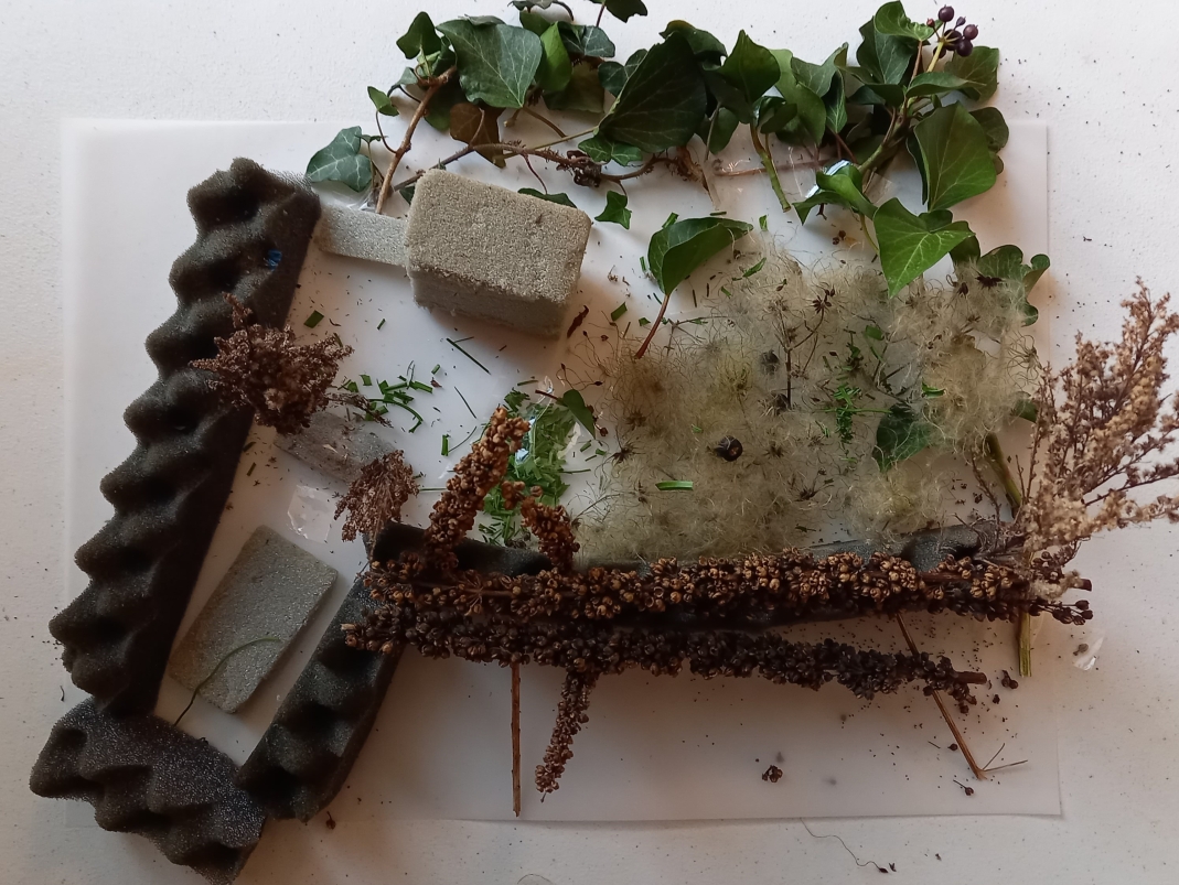 Agrandir l'image - fenêtre modale