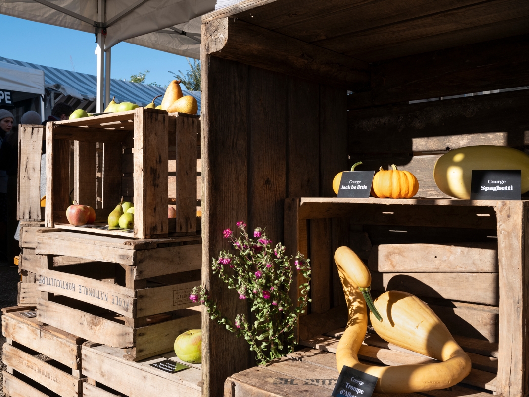 Agrandir l'image - fenêtre modale