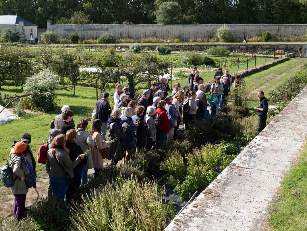 Agrandir l'image - fenêtre modale