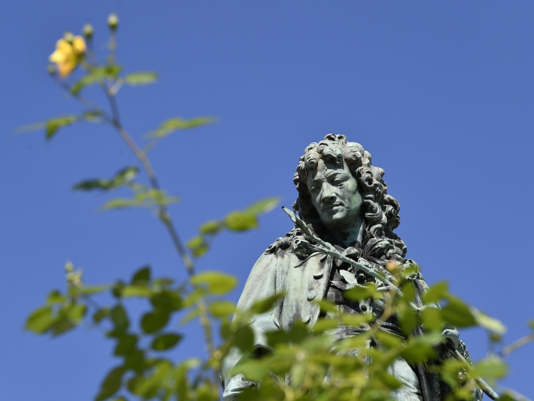 Agrandir l'image - fenêtre modale