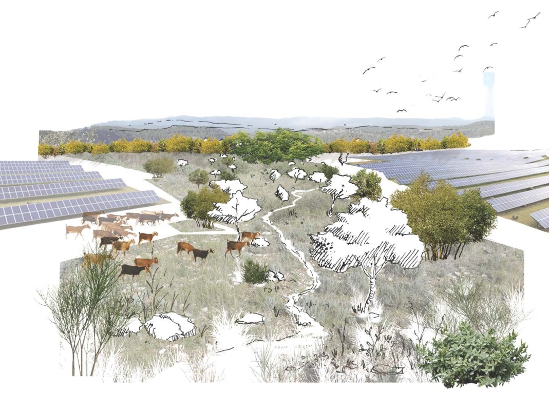 Agrandir l'image - fenêtre modale