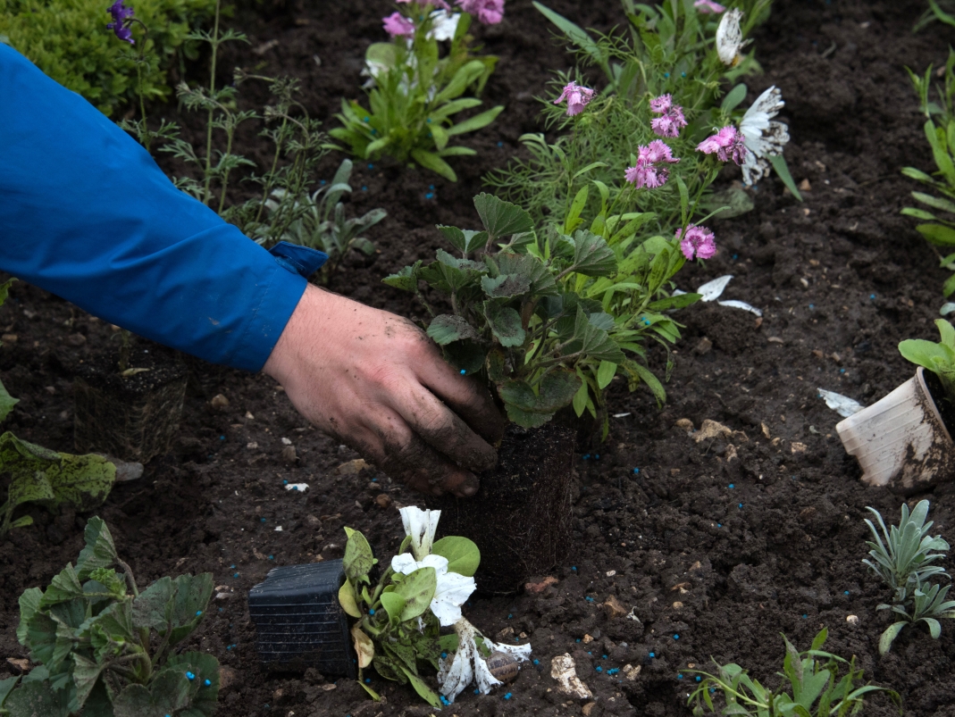 Agrandir l'image - fenêtre modale
