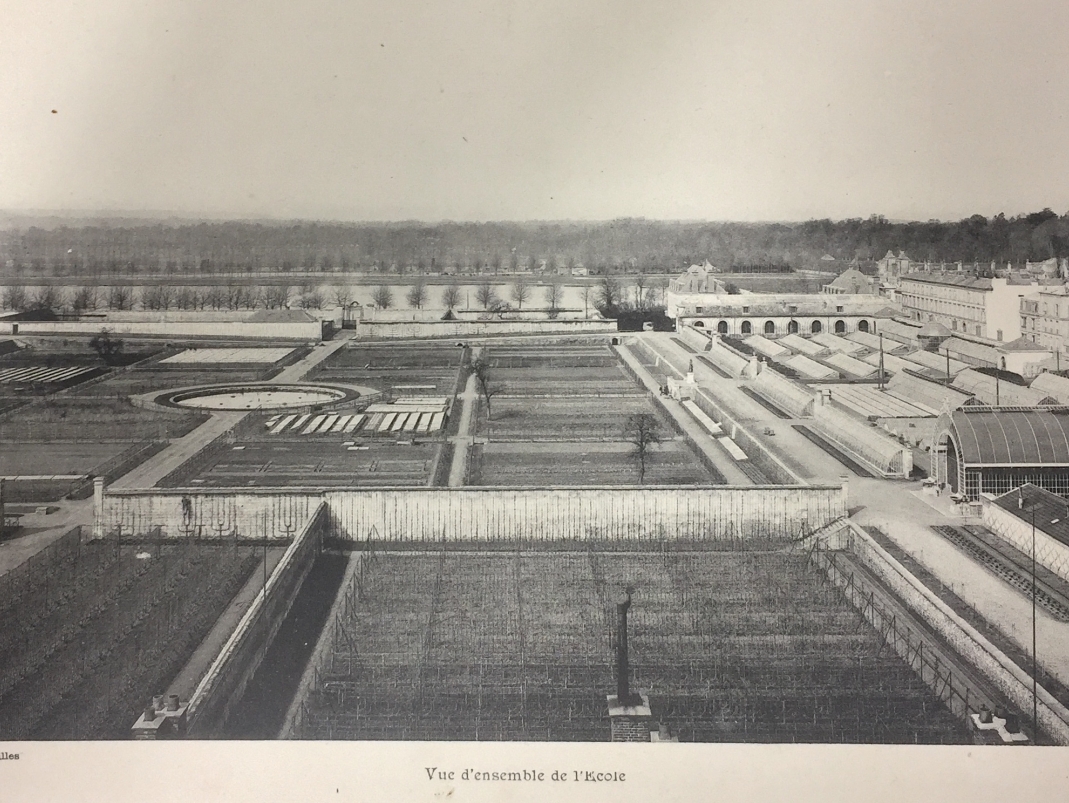 Agrandir l'image - fenêtre modale - Vue du site de l'École nationale d'horticulture, le Potager du Roi, avant 1955. Au premier plan, à gauche, le jardin Du Breuil.