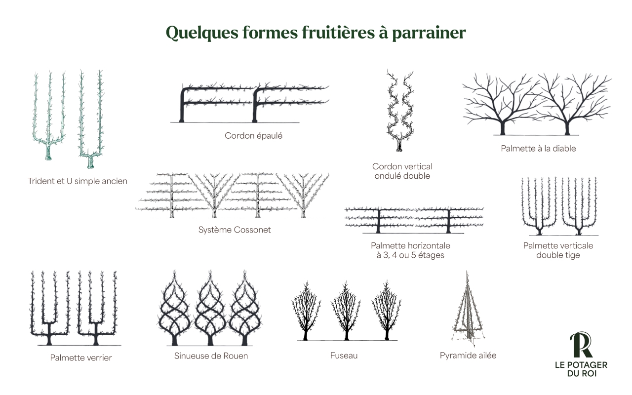 Agrandir l'image - fenêtre modale