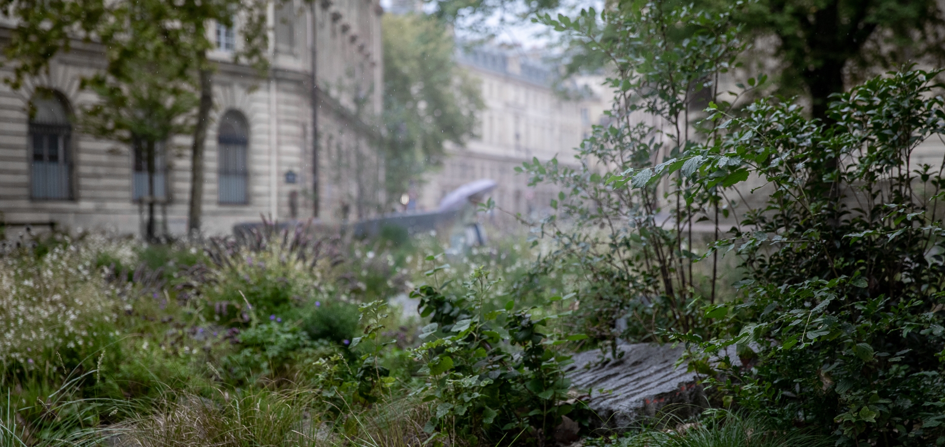 À l'échelle de la main | école nationale supérieure de paysage