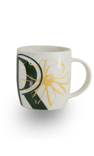 Agrandir l'image - fenêtre modale