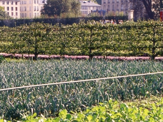Agrandir l'image - fenêtre modale - Dans le Grand Carré, un matin d'octobre.