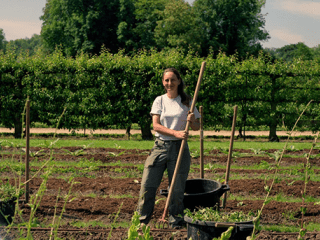 Agrandir l'image - fenêtre modale - Christine Dufour en train de préparer des planches de culture dans le Grand Carré du Potager.