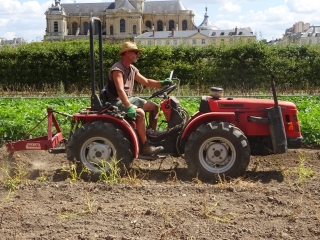 Agrandir l'image - fenêtre modale - Mathias de Sainte Marie remet à plat le carré de pommes de terre.