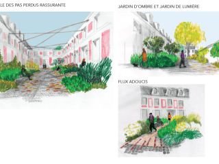 Agrandir l'image - fenêtre modale