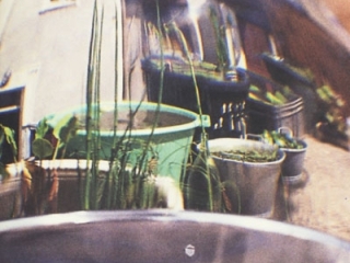 Agrandir l'image - fenêtre modale