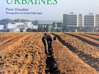 Agrandir l'image - fenêtre modale - Couverture Campagnes urbaines.