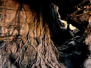 Agrandir l'image - fenêtre modale